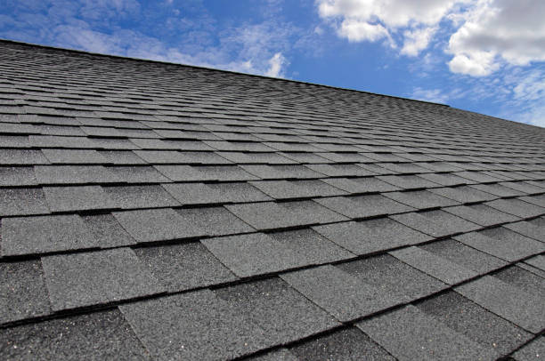 Best Roof Maintenance and Cleaning  in Kittredge, CO